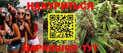 шишки Пугачёв